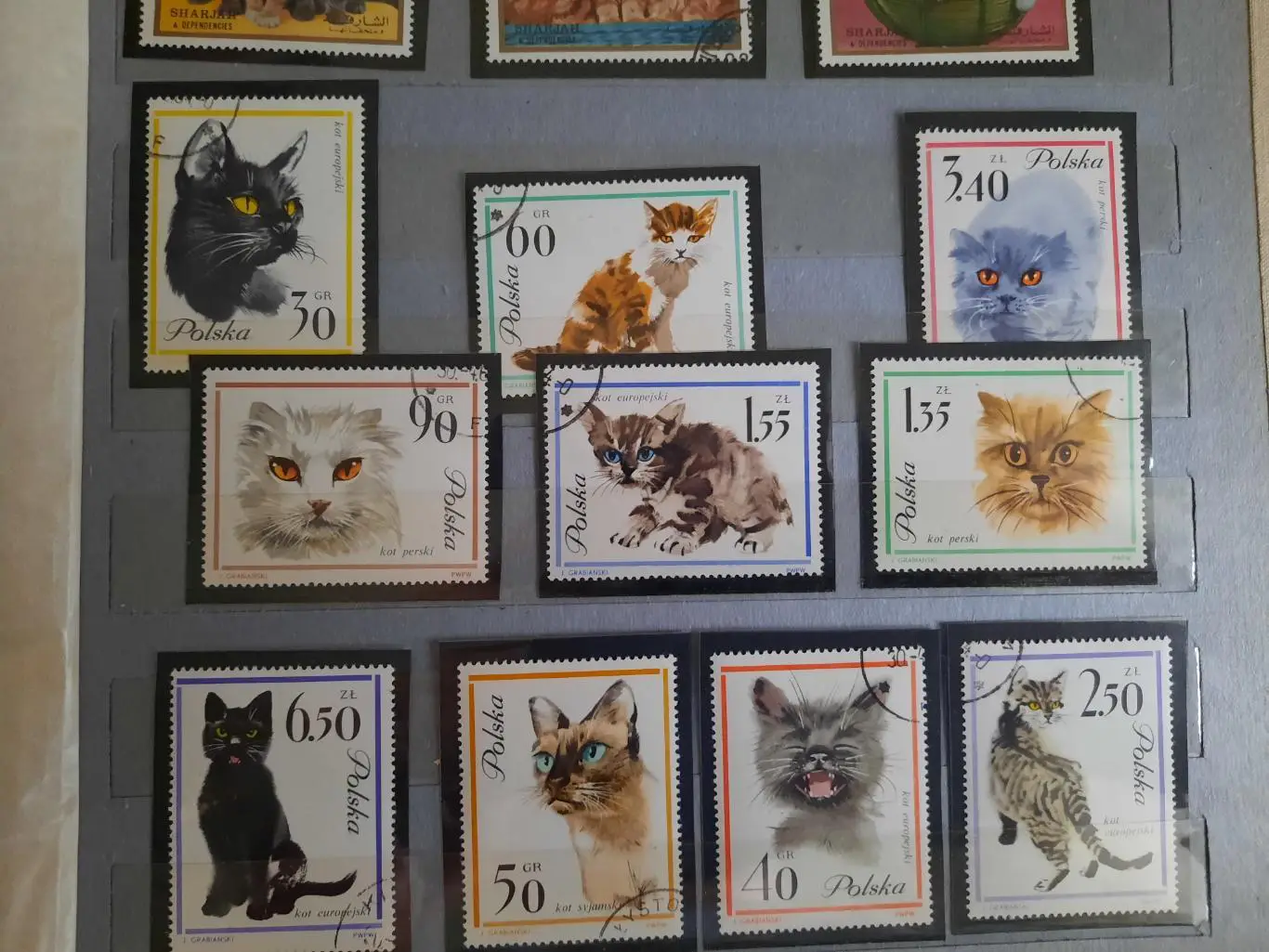 Марки Кошки Польша 10 марок