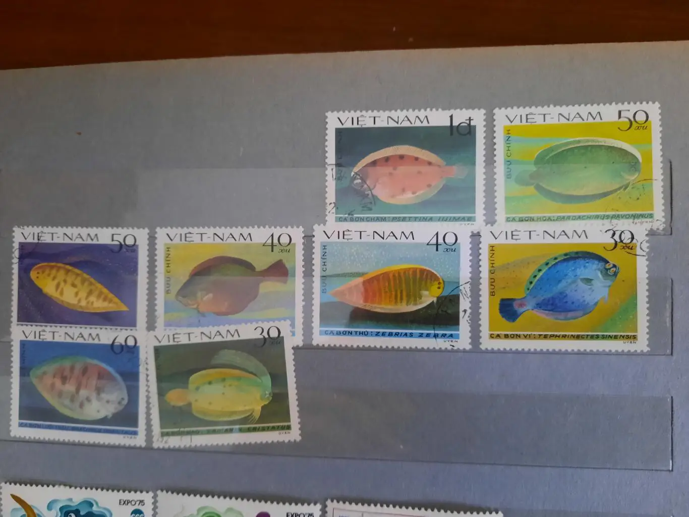 Марки Вьетнам Рыбы 8 марок