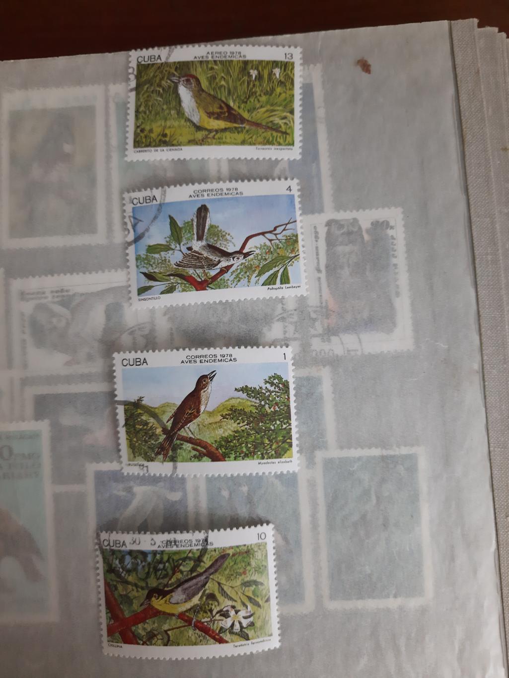 Марки Куба птицы 1978 год 4 марки