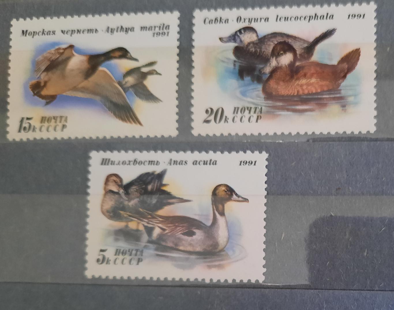Марки СССР птицы 1991 год