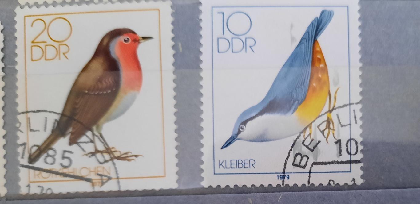 Марки ГДР птицы 1979 год