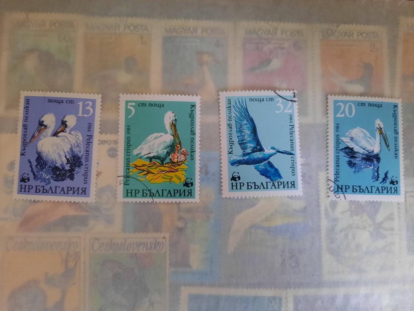 Марки Болгария птицы 1984 год