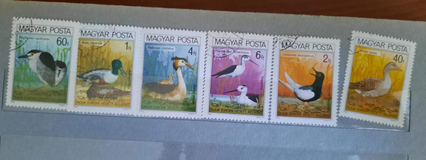 Марки Венгрия птицы 6 марок