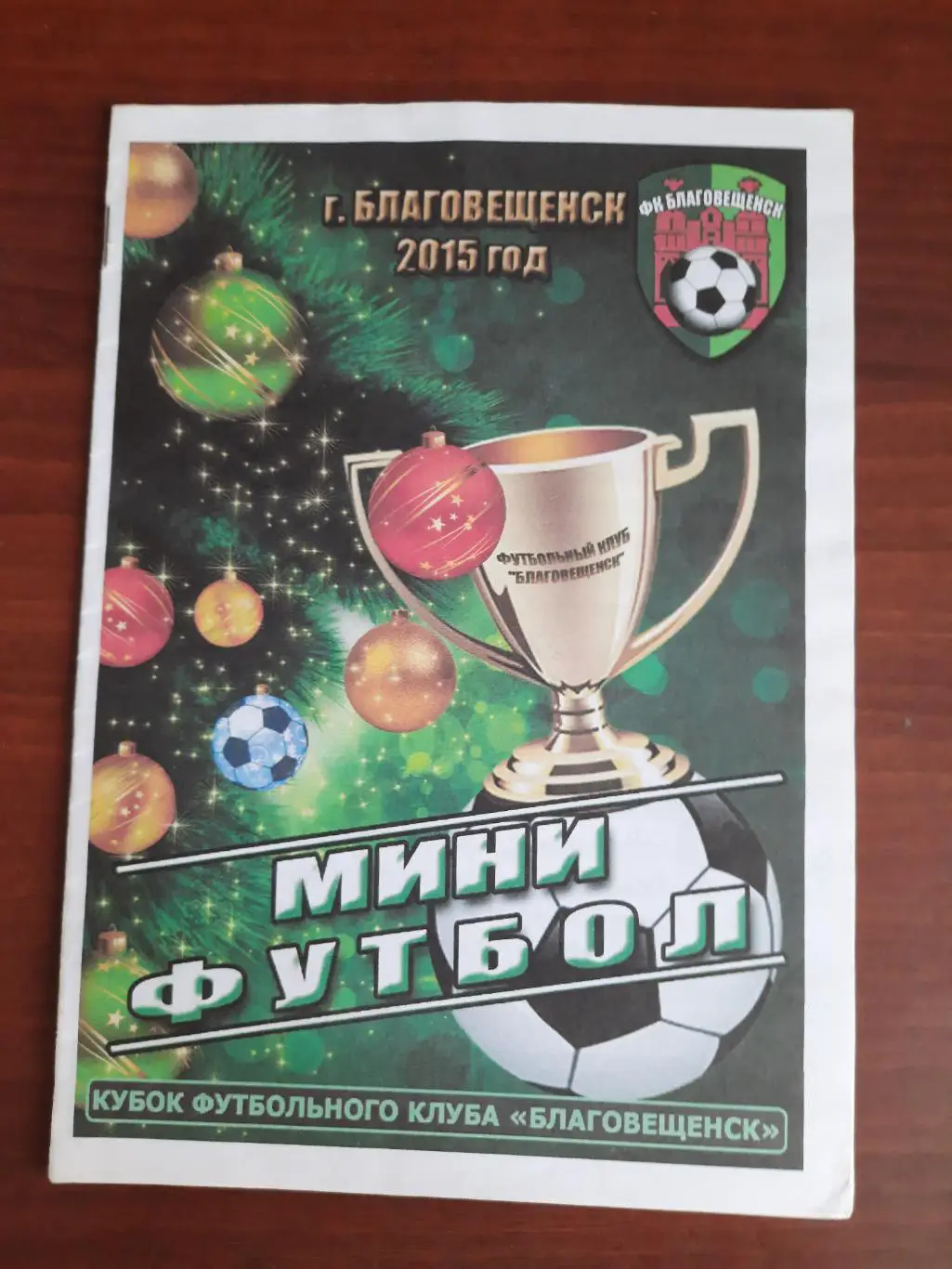 Кубок ФК Благовещенск по мини-футболу (2015 год)