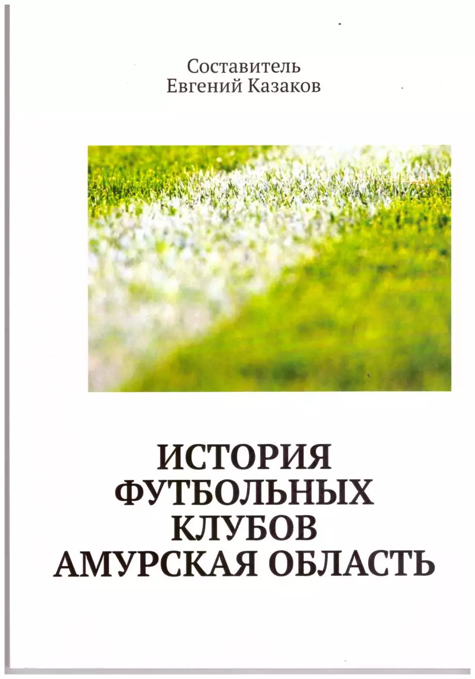История футбольных клубов. Амурская область
