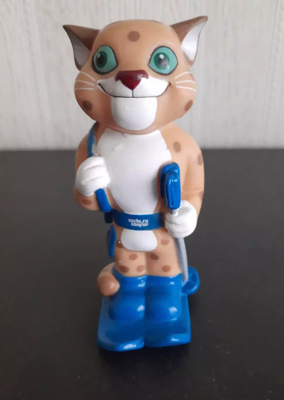 Сочи - 2014 Барс Биатлон