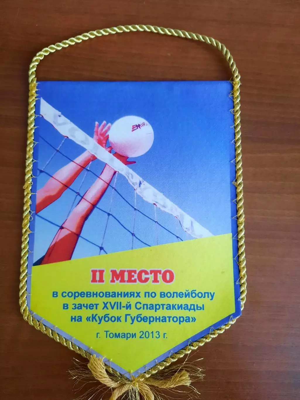 Вымпел Волейбол II место Кубок Губернатора Томари, 2013