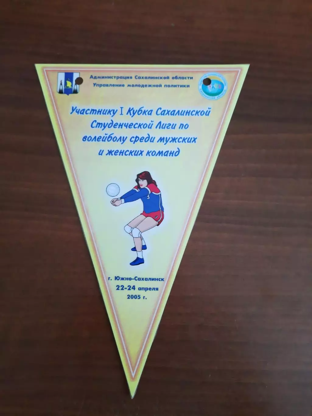 Вымпел Волейбол Кубок Сахалинской студенческой лиги 2005