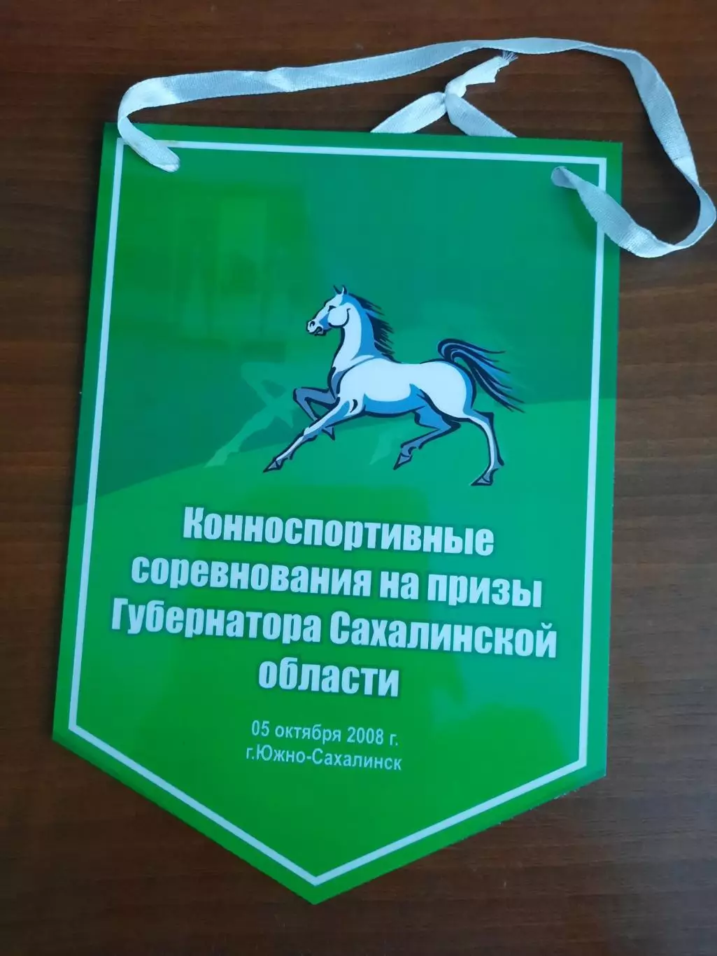 Вымпел Конно-спортивные соревнования Южно-Сахалинск, 2008