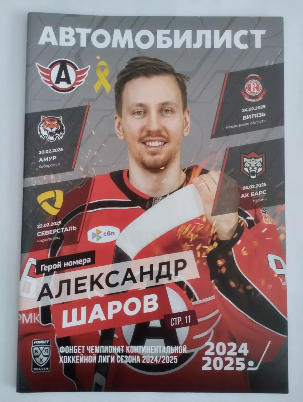 Автомобилист Екатеринбург- Амур Хабаровск+Северсталь+Витязь+Ак Барс 2024/2025