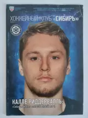 Сибирь(Новосибирск) - Амур(Хабаровск) / Металлург(Новокузнецк) - 2015/16