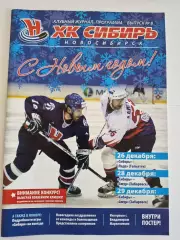 Сибирь Новосибирск - Лада Тольятти, Амур Хабаровск 26-28-29.12.2008