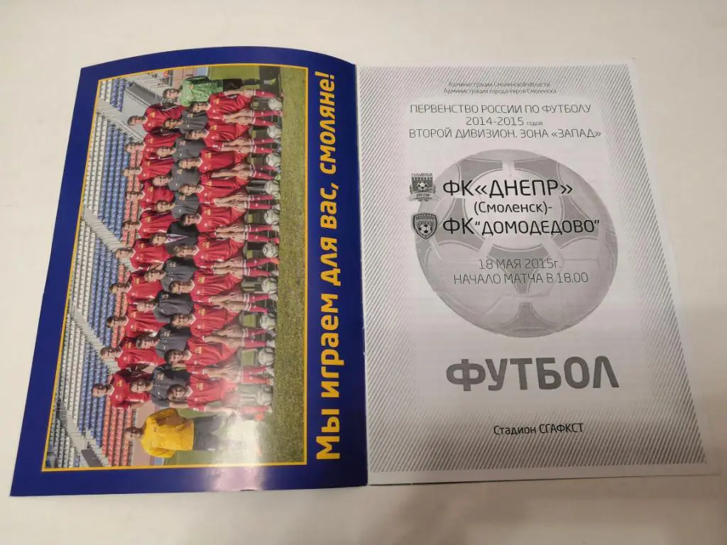 Днепр (Смоленск)-Домодедово 18.05.2015 1