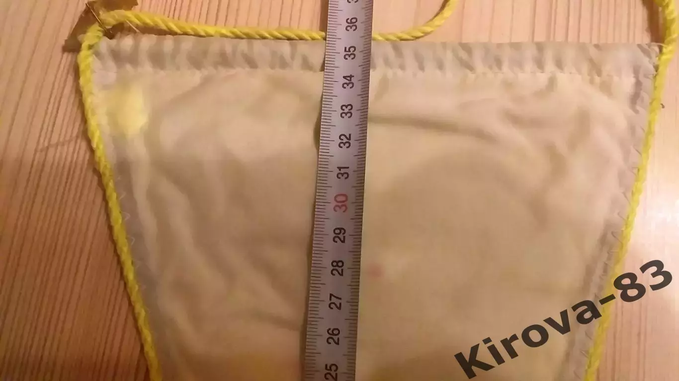 Вымпел Динамо Москва, 1976 год. 3