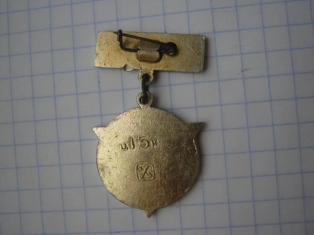 Болельщик Трактор. 1