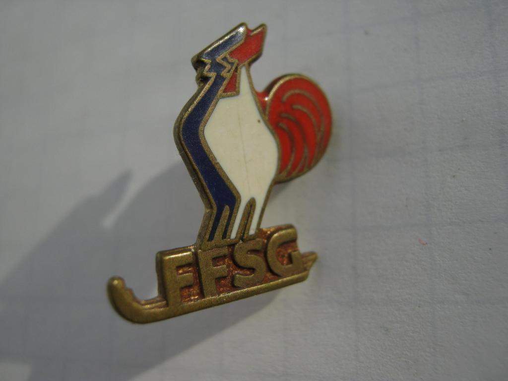 Французская федерация ледовых видов спорта (FFSG)