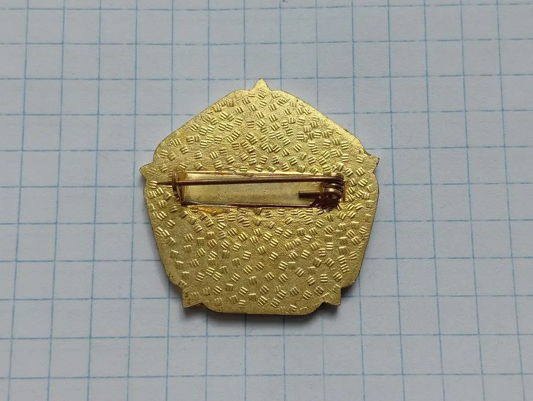 Southampton Football Club Саутгемптон (Англия) 1