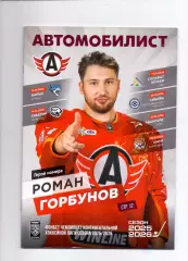 КХЛ,25-26, Автомобилист - Барыс, Трактор, Салават, Сибирь, Авангард, Амур январь