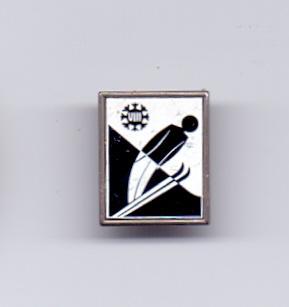 Знак лыжи стекло