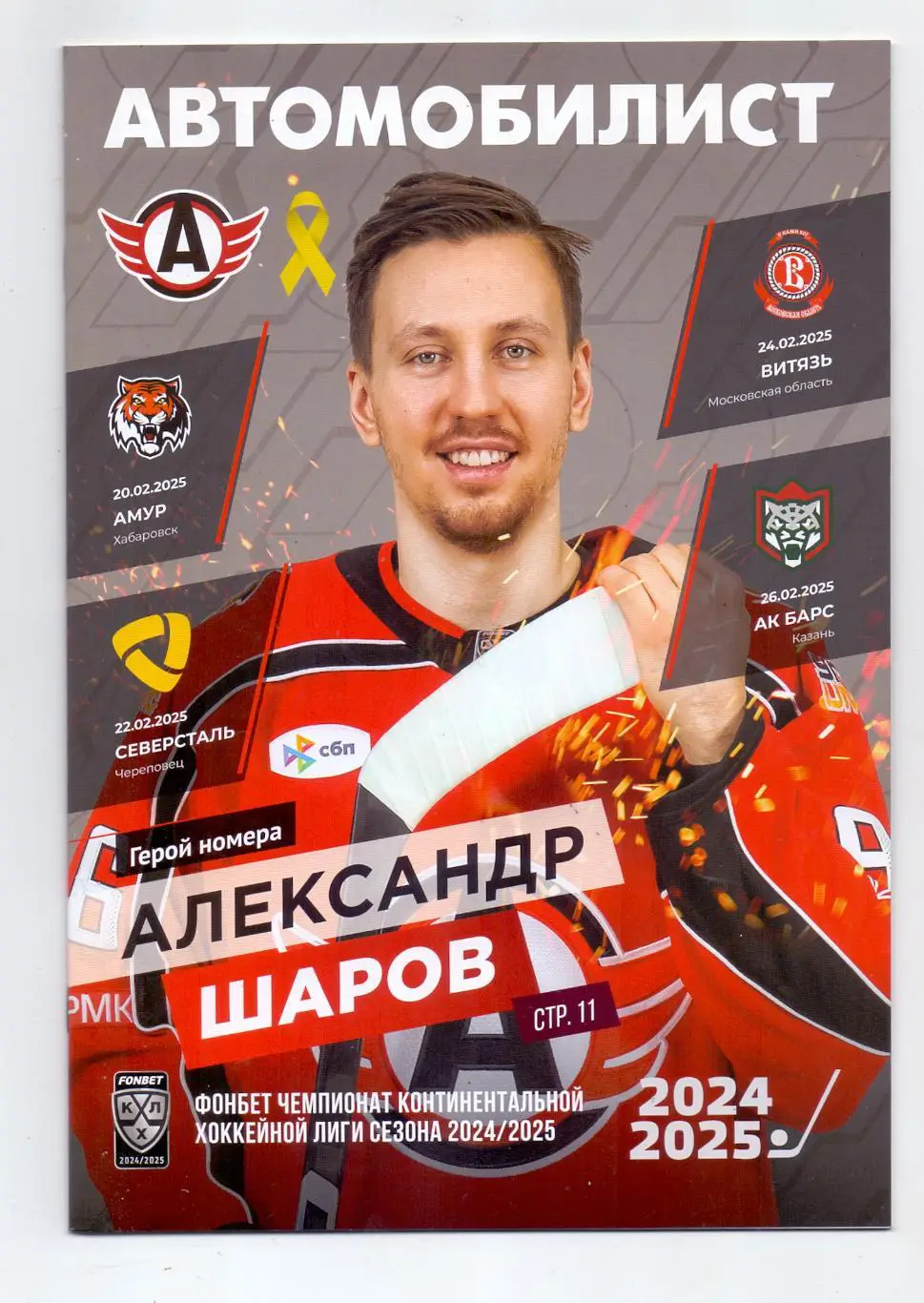 КХЛ, Автомобилист Екб - Амур Хабаровск, Северсталь, Витязь, АК Барс 20.2-26.2.25