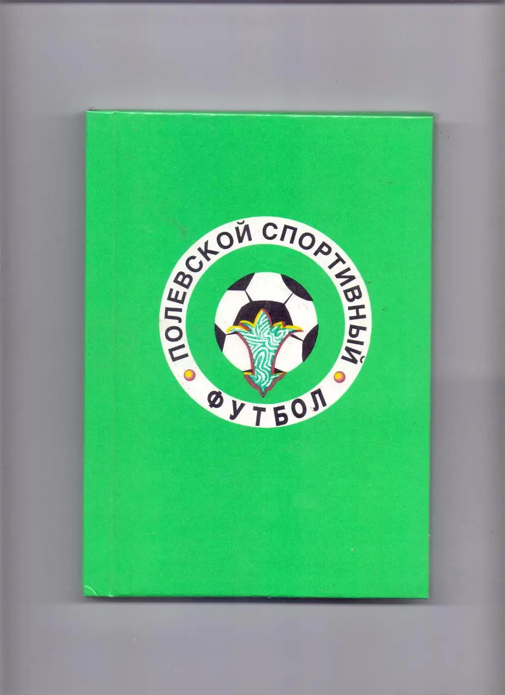 Кожевников, Засухин, Гундина: Полевской спортивный. Футбол.Екатеринбург, 2000