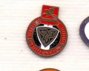 Значок, ФК Металлург Златоуст