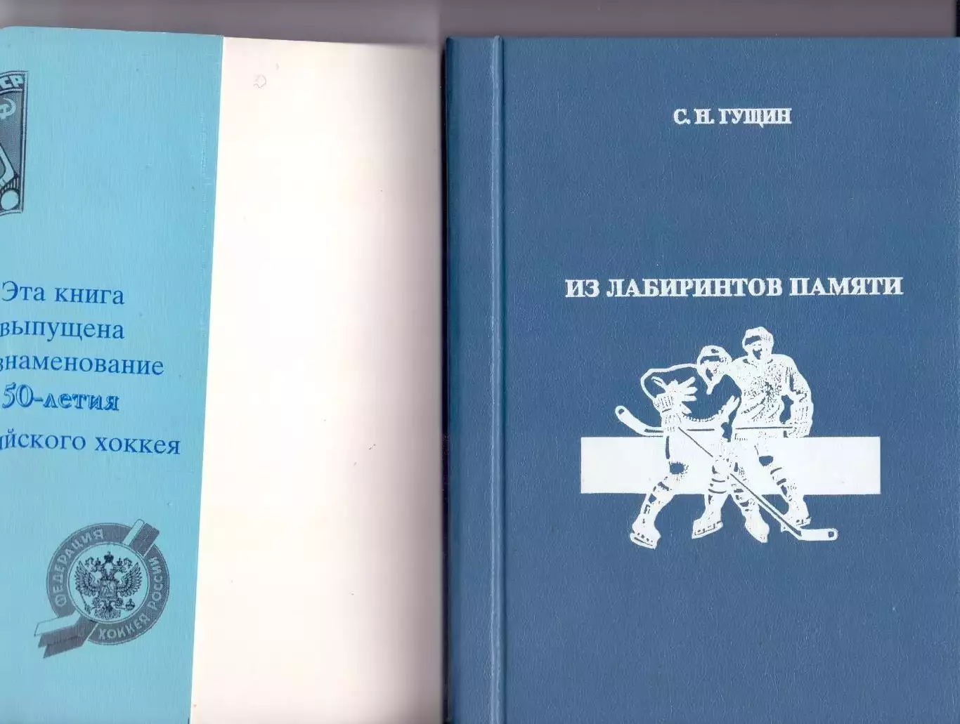 Книга, С.Н.Гущин хоккей судья, Из лабиринтов памяти, Екатеринбург, 1996 1