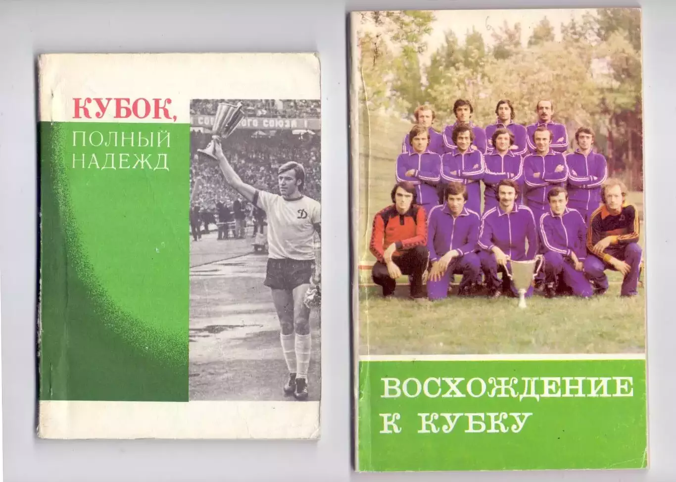 КА, справочник, Восхождение к кубку, Динамо Тбилиси 1981