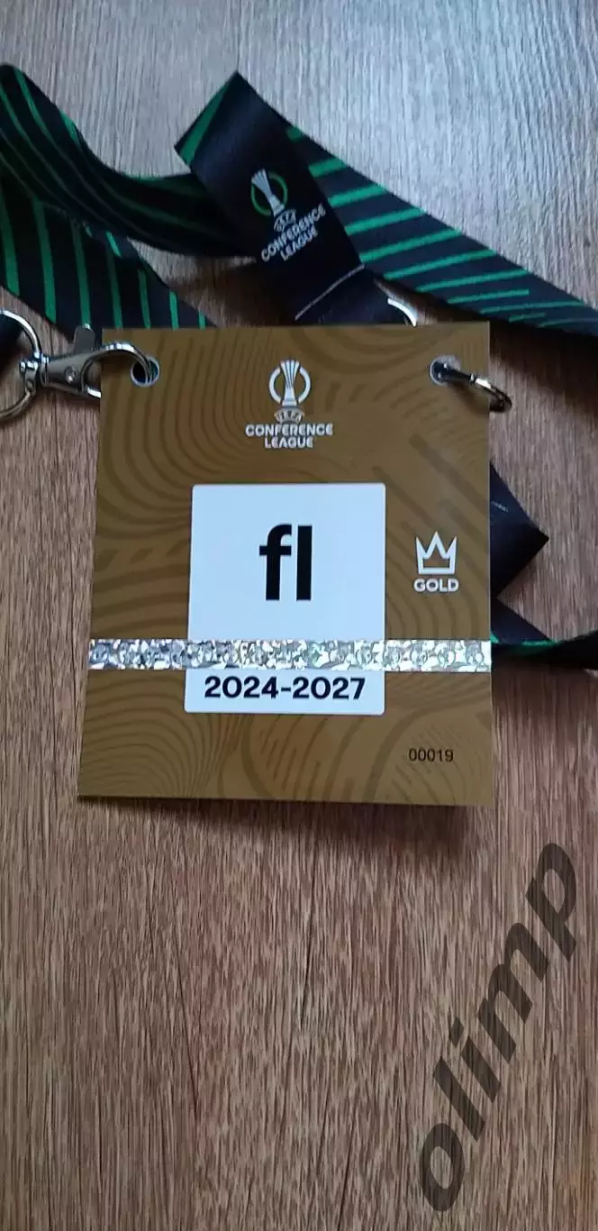 Билет (бейдж) Шахтер Донецк-Брейдаблик 06.11.2025