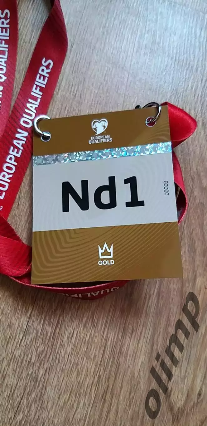 Билет (бейдж) Украина-Исландия 16.11.2025