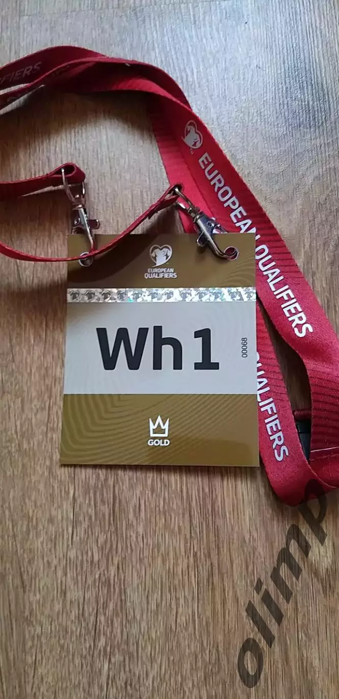 Билет (бейдж) Исландия-Украина 10.10.2025