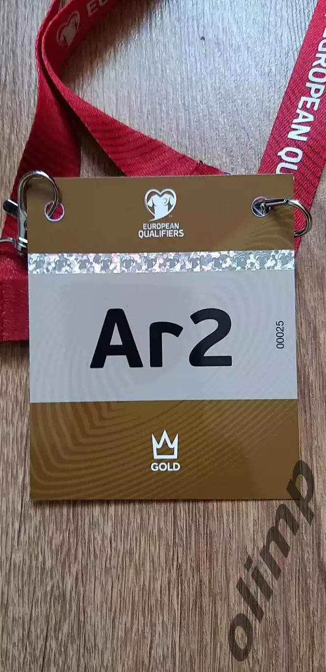 Билет (бэйдж) Украина-Азербайджан 13.10.2025