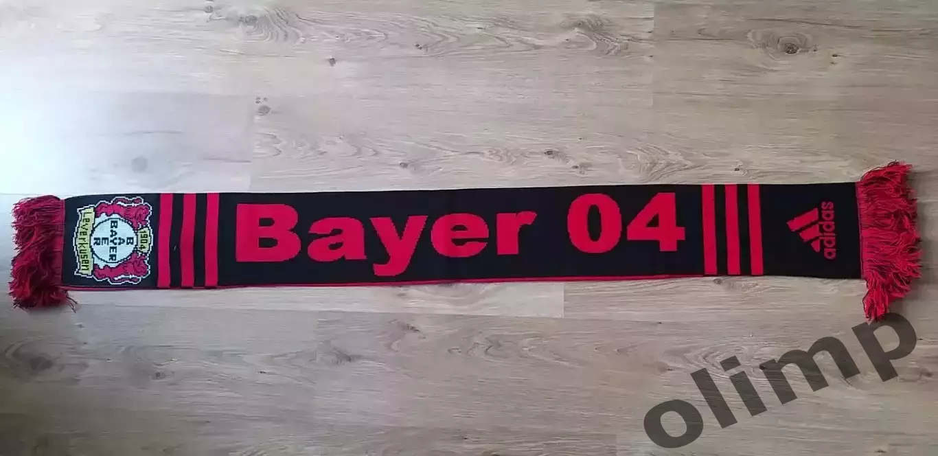 Байер Леверкузен 04