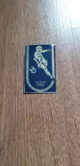Кожаный мяч, Республиканский финал, Киев 1981