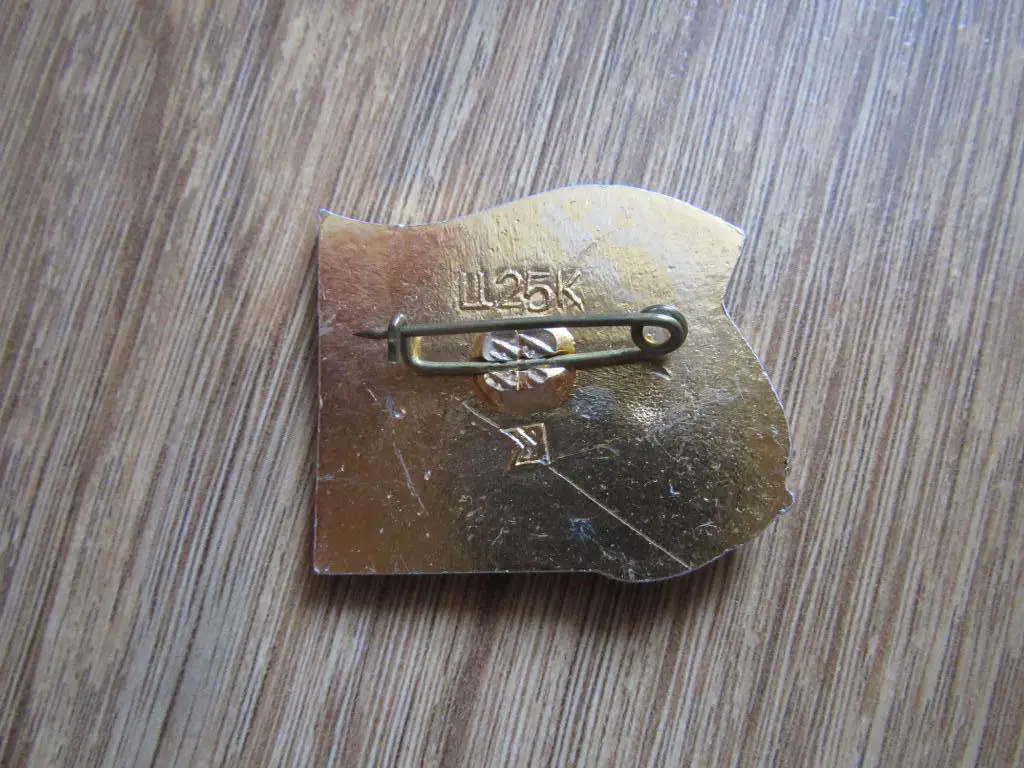 Значок Динамо Киев - чемпион СССР 1980 1