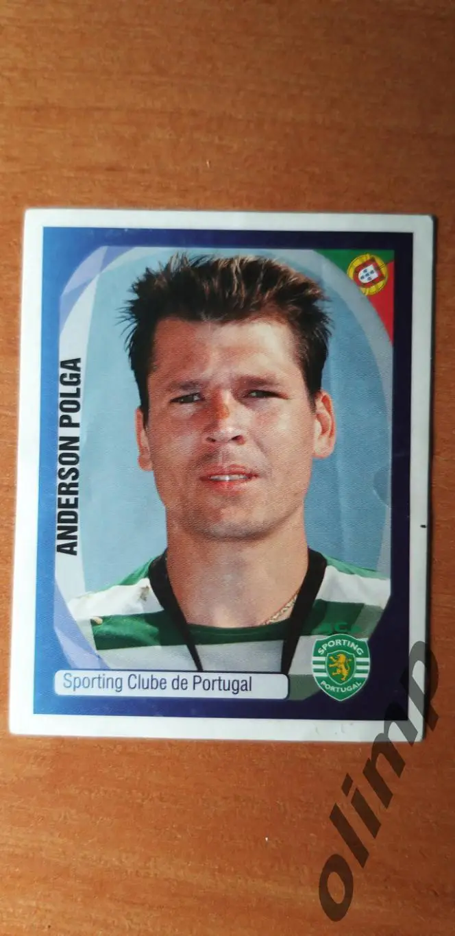 Наклейка Panini к ЛЧ 2007-2008