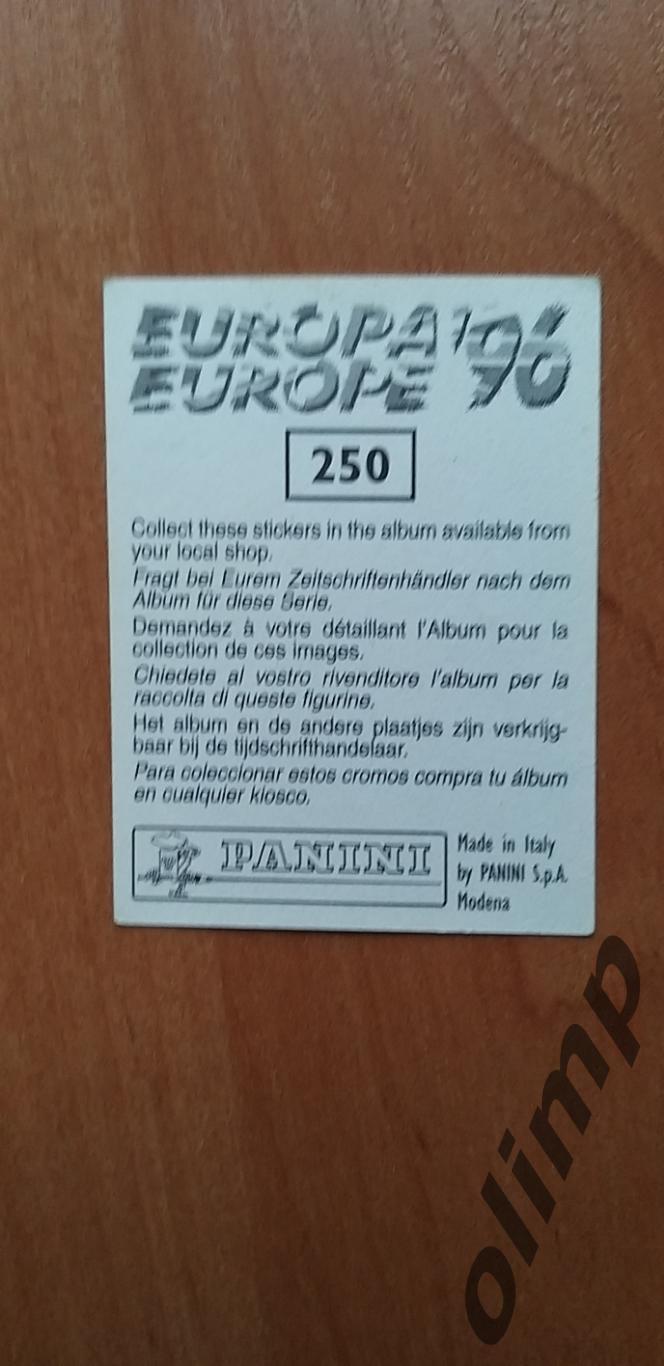 Наклейка Panini к Чемпионату Европы 1996, №250 1