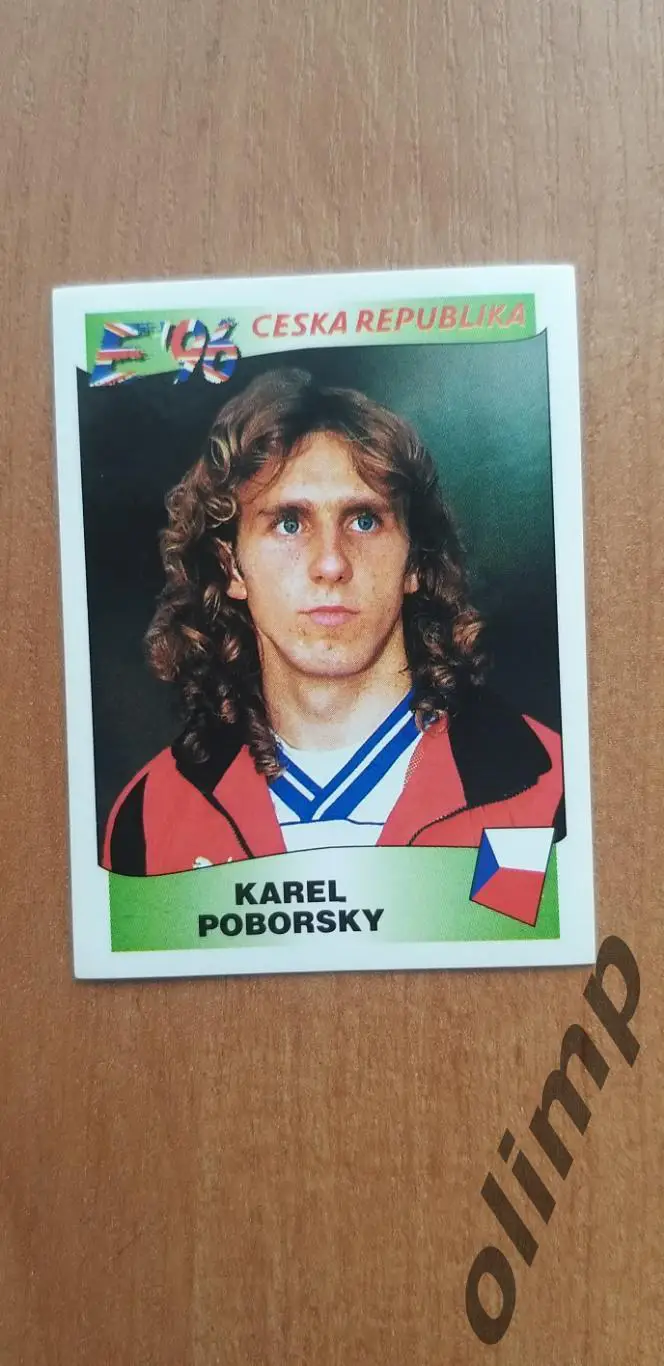 Наклейка Panini к Чемпионату Европы 1996, №223