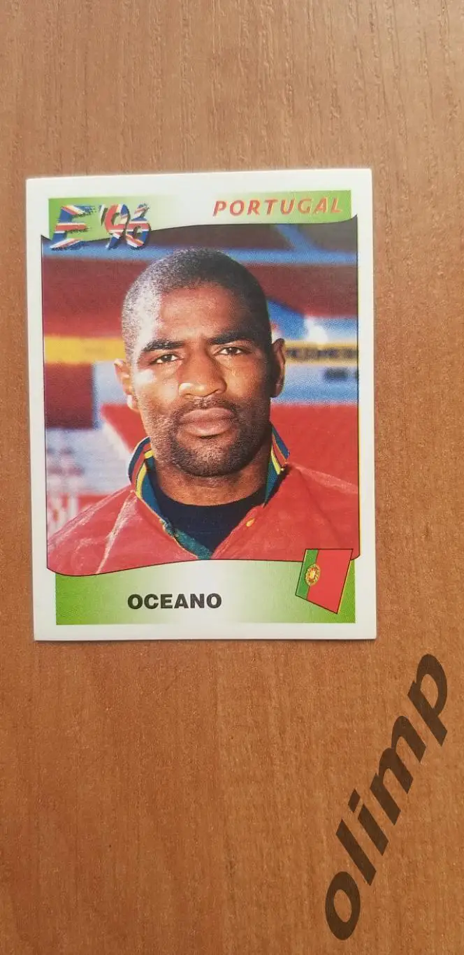 Наклейка Panini к Чемпионату Европы 1996, №305