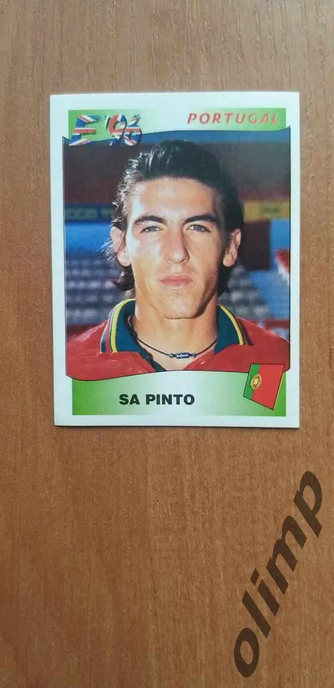 Наклейка Panini к Чемпионату Европы 1996, №309