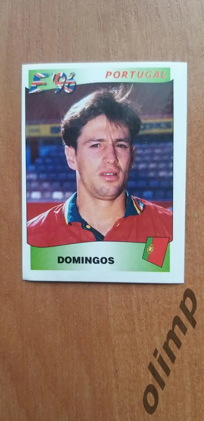 Наклейка Panini к Чемпионату Европы 1996, №311