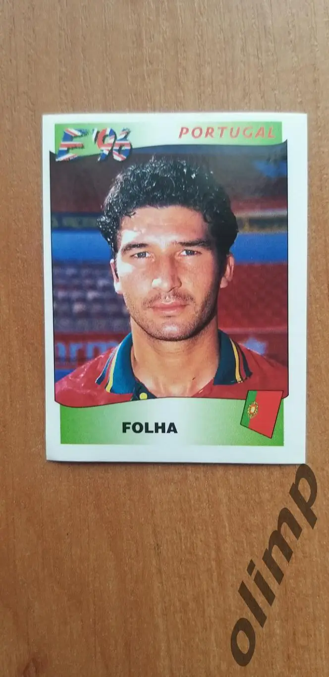 Наклейка Panini к Чемпионату Европы 1996, №313