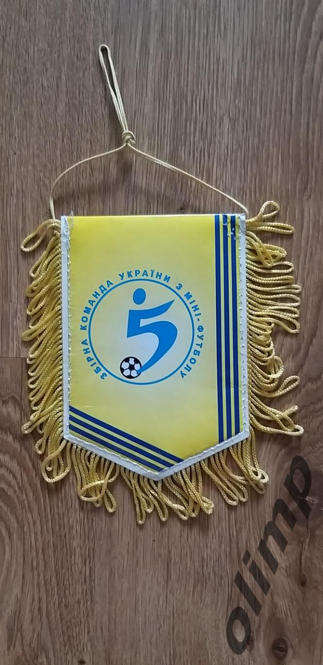 Украина,ассоциация мини-футбола 1