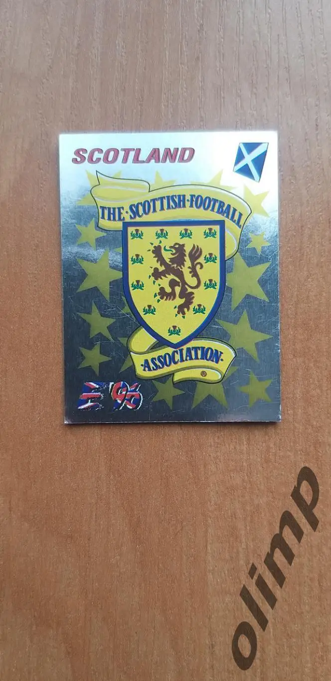 Наклейка Panini к Чемпионату Европы 1996, №95