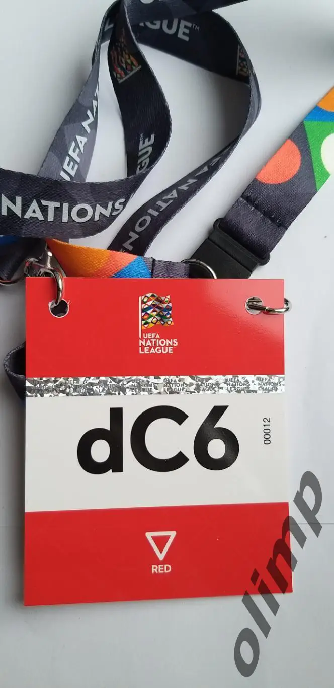 Билет (бэйдж) Грузия-Украина 16.11.2024