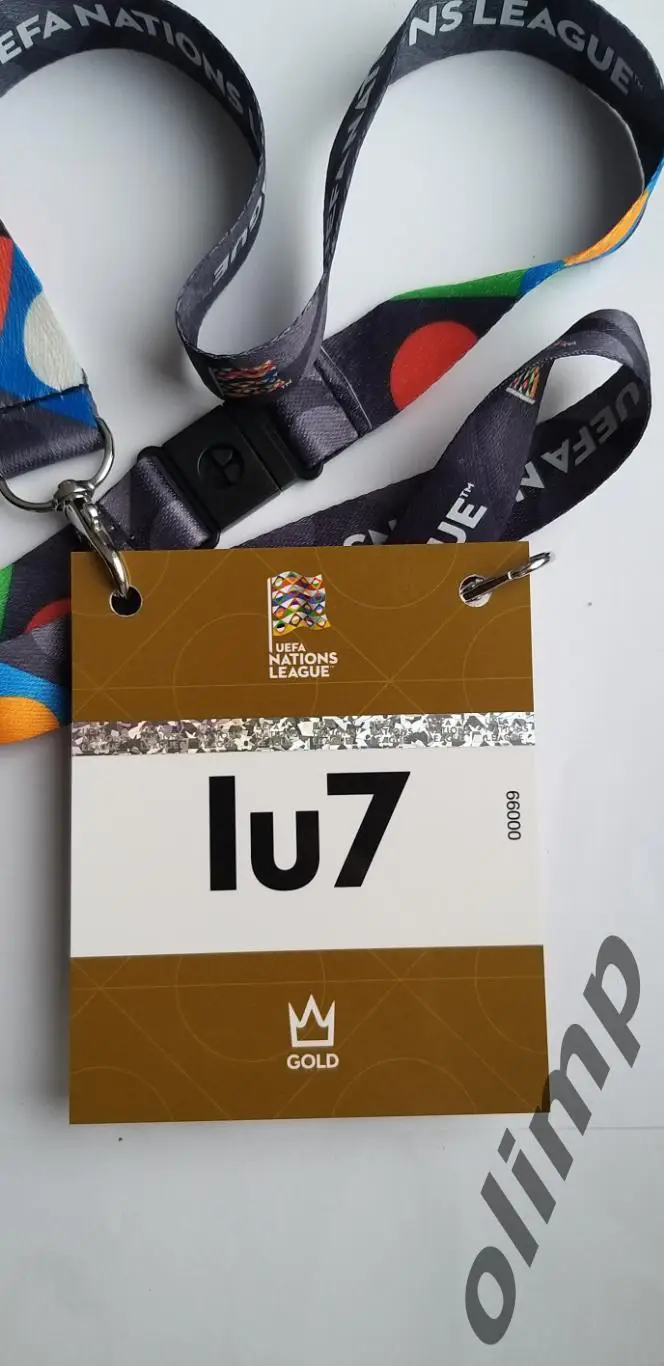 Билет (бэйдж) Албания-Украина 19.11.2024