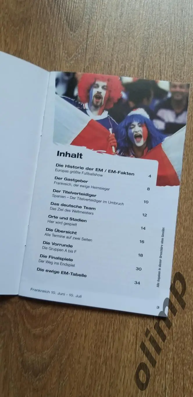 Чемпионат Европы 2016 1