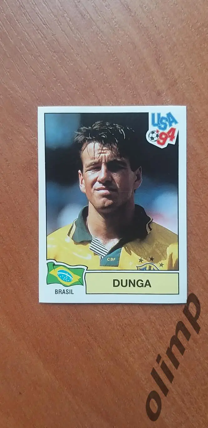 Наклейка Panini к Чемпионату мира 1994, № 100