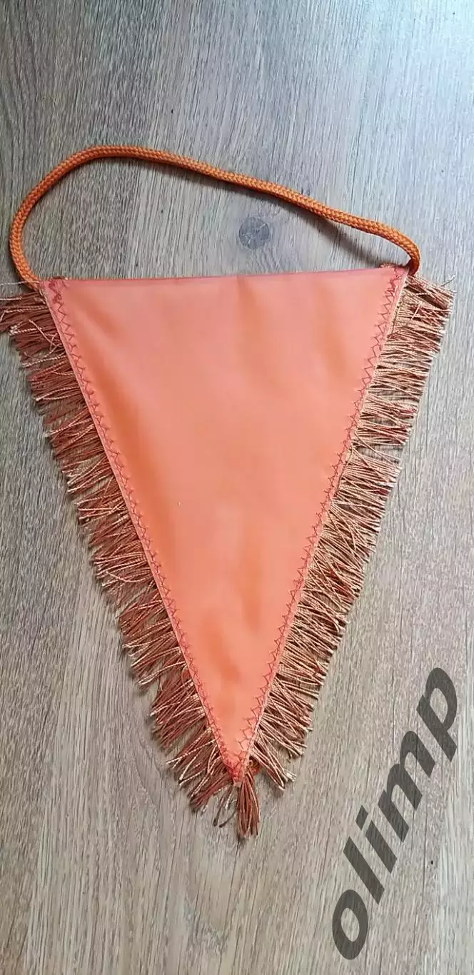 Вымпел Шахтер Донецк 1