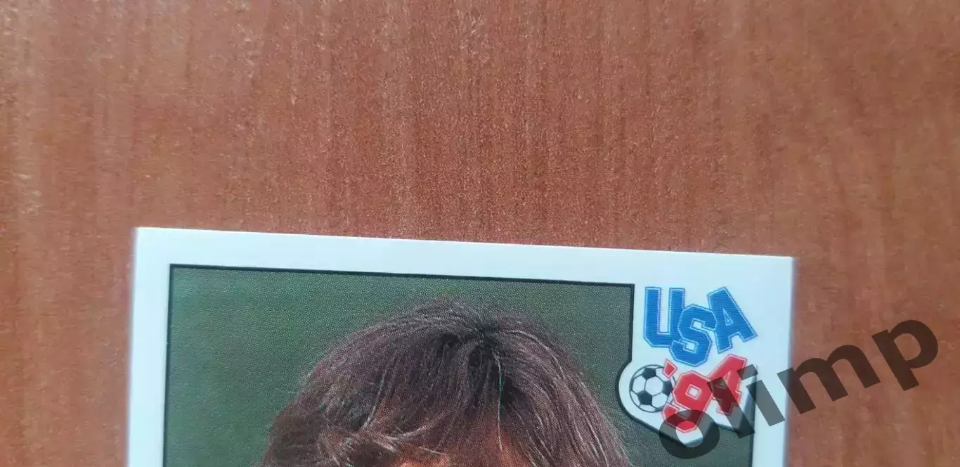 Наклейка Panini к Чемпионату мира 1994, № 260 3